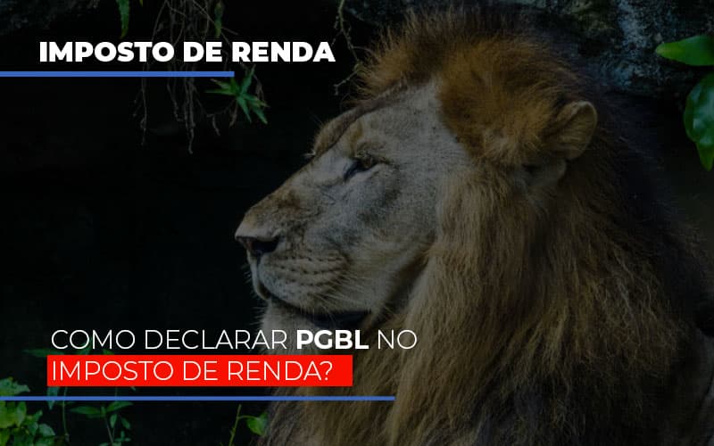 IR2020: Como declarar PGBL no Imposto de Renda?
