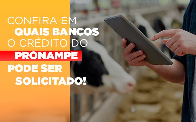 Confira em quais bancos o crédito do Pronampe já pode ser solicitado!